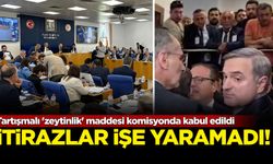 Tartışmalı 'zeytinlik' maddesi komisyonda kabul edildi