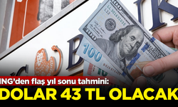 ING’den flaş yıl sonu tahmini: Dolar 43 TL olacak
