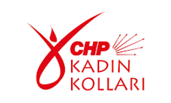 CHP'nin düzenlediği yürüyüşe polis müdahale etti!