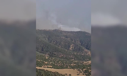 Aydın’da ziraat alanında başlayan yangın ormanlık alana sıçradı