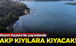 Resmi Gazete’de yayımlandı: Kıyılarımızdaki ormanlara kıyılacak!