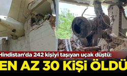 Hindistan'da 242 kişiyi taşıyan uçak düştü: En az 30 kişi öldü