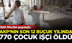 İSİG Meclisi paylaştı: AKP'nin son 12 buçuk yılında, 770 çocuk işçi öldü