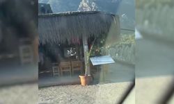 Muğla'da Doğal Sit Alanı olan Akbük Koyu’na yerleştirilen 11 tiny house mühürlendi