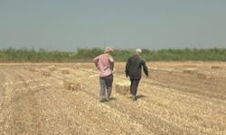 Silivri’de kavurucu sıcakta saman mesaisi: Oy verdik, pişmanız