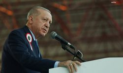 Cumhurbaşkanı Erdoğan'dan orman yangınları açıklaması