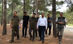 Şanlıurfa’da ormanlık alanlara girişler yasaklandı