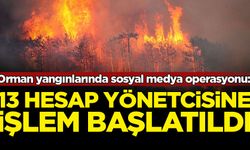 Orman yangınlarına ilişkin provokatif paylaşım yapan 13 hesap yöneticisi hakkında işlem başlatıldı