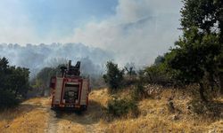 Lice’deki orman yangını 9 saatte kontrol altına alındı: 35 hektarlık alan zarar gördü