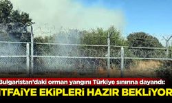 Bulgaristan’daki orman yangını Türkiye sınırına dayandı: İtfaiye ekipleri hazır bekliyor