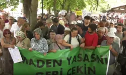 Zeytinleri için nöbet tutuyorlardı: Açlık grevi kararı aldılar