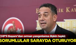 CHP’li Başarır’dan orman yangınlarına ilişkin tepki: Sorumlular sarayda oturuyor!