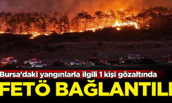 Bursa’daki yangınlarla ilgili FETÖ bağlantılı 1 kişi gözaltına alındı