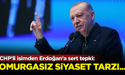 CHP'li isimden Erdoğan'a sert tepki: Omurgasız siyaset tarzı mide bulandırıcı