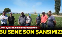 Çiftçi ayakta kalma mücadelesinde: Bu sene son şansımız!
