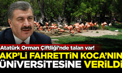Atatürk Orman Çiftliği'nde talan var! Devasa alan, AKP'li Fahrettin Koca'nın üniversitesine verildi