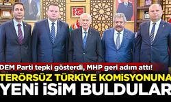 DEM Parti tepki gösterdi, MHP geri adım attı! Terörsüz Türkiye Komisyonu'na yeni isim buldular