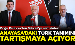 Doğu Perinçek'ten Bahçeli'ye sert sözler: Anayasadaki Türk tanımını tartışmaya açıyor