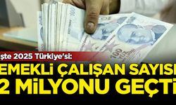 2025 Türkiye'si: Emekli çalışan sayısı 2 milyonu geçti
