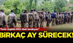 Terör örgütü PKK silah bırakıyor! Birkaç ay sürecek...