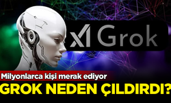 Milyonlarca kişi merak ediyor! Elon Musk'ın yapay zekası Grok neden çıldırdı?