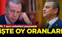 İlk 7 ayın anketleri paylaşıldı! İşte partilerin oy oranları