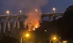 Beykoz'daki yangına ilişkin 1 kişi gözaltına alındı