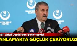 BBP Lideri Destici'den 'Şehit' tepkisi! "Anlamakta Güçlük Çekiyoruz!"