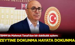 TBMM'de Mahmut Tanal'dan bir dakikalık eylem: Zeytine dokunma hayata dokunma