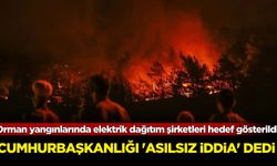 İzmir Valisi orman yangınlarında elektrik dağıtım şirketlerini adres gösterdi, Cumhurbaşkanlığı 'asılsız iddia' dedi