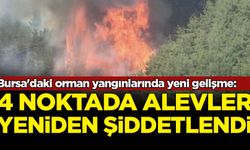 Bursa'daki orman yangınlarında yeni gelişme: 4 noktada alevler şiddetlendi