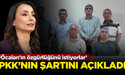 DEM Partili Hatimoğulları açıkladı: PKK, Öcalan'ın özgürlüğünü istiyor