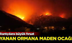 Rantçılara büyük fırsat! Yanan ormana maden ocağı planlanıyormuş