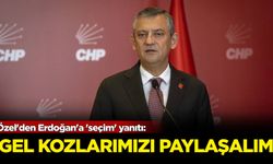 Özel'den Erdoğan'a 'seçim' yanıtı: Gel kozlarımızı paylaşalım