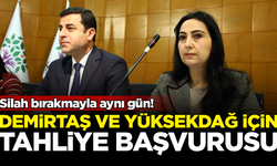 PKK'nın silah bırakma gününde Demirtaş ve Yüksekdağ için tahliye başvurusu