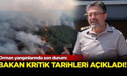 Orman yangınlarında son durum: Bakan kritik tarihleri açıkladı!