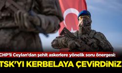 CHP’li Ceylan’dan şehit askerlere yönelik soru önergesi: TSK'yı kerbelaya çevirdiniz