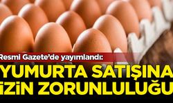 Resmi Gazete'de yayımlandı: Yumurta satışına izin zorunluluğu