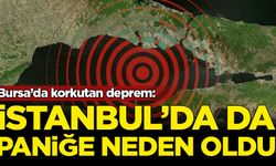 Bursa'da korkutan deprem: İstanbul'da da hissedildi