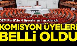DEM Parti'nin komisyon üyeleri belli oldu