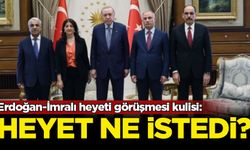 Erdoğan-İmralı heyeti görüşmesi kulisi: Heyet ne istedi?