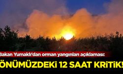 Bakan Yumaklı’dan orman yangınları açıklaması: Önümüzdeki 12 saat kritik!