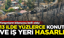 Orman yangınlarının bilançosu belli oldu! 13 ilde büyük hasar var