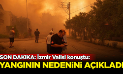 SON DAKİKA! İzmir Valisi Süleyman Elban, yangınların nedenini açıkladı