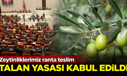Zeytinlikleri madenciliğe açacak kanun teklifi kabul edildi