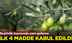 Zeytinlik kıyımında yeni gelişme: İlk 4 madde kabul edildi