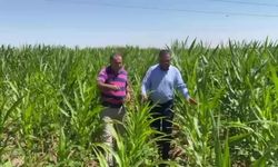 Diyarbakır’da çiftçilerle bir araya gelen CHP’li Tanrıkulu: Çiftçiler fakirleşmiştir