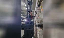 İzmir’de bin 900 ton süt ürününe el konuldu