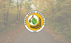 OGM açıkladı: Gelibalu'da orman yangını kontrol altında