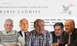 Demokrasi Platformu'dan 'barış çağrısı'